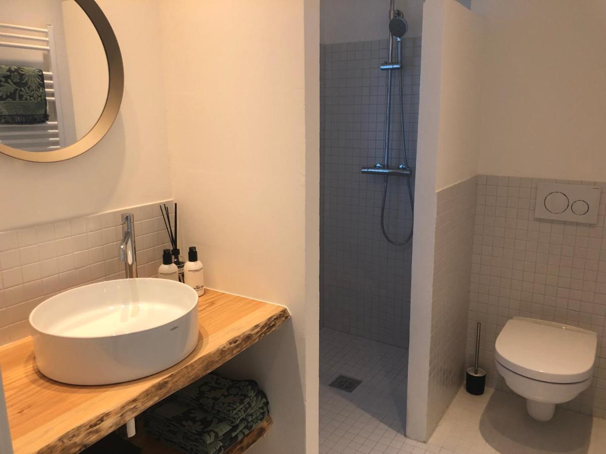 Ankogel Lofts Apartment Mallnitz
