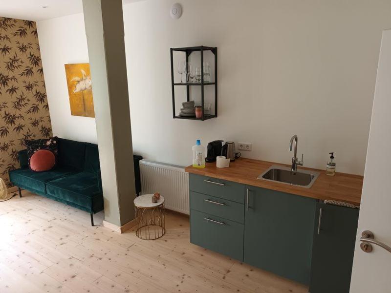 Apartment Ankogel Lofts Mallnitz